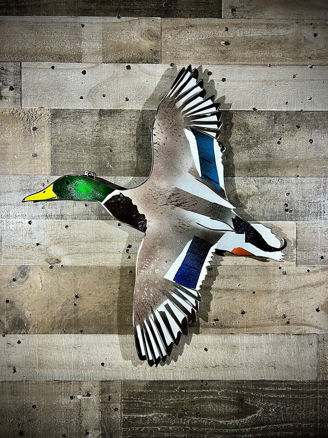 2-foot mallard drake left