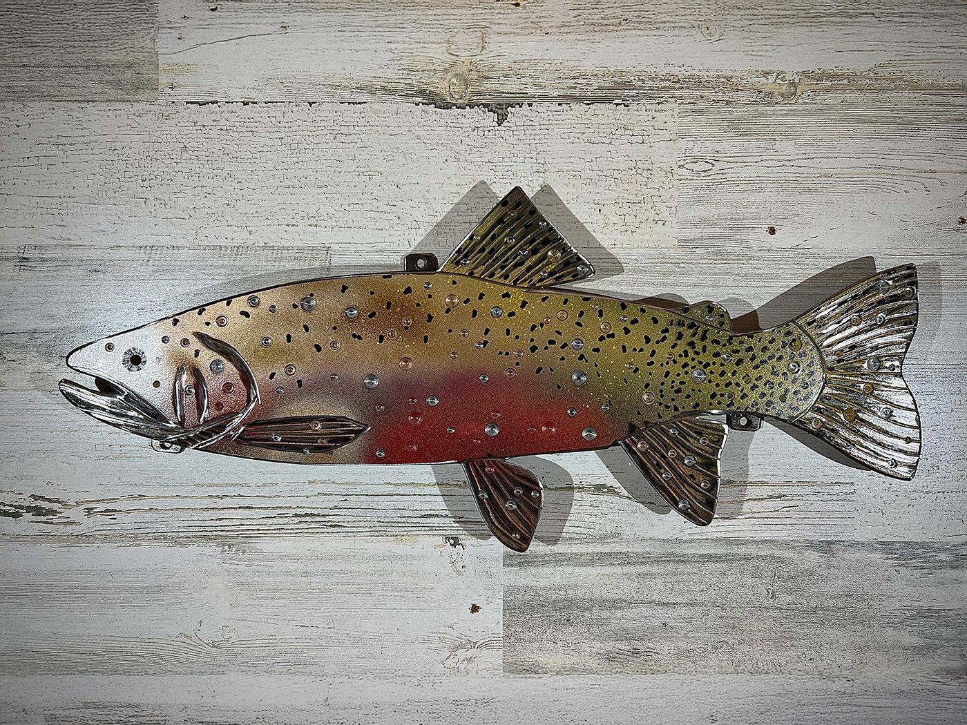 22-inch cutthroat trout