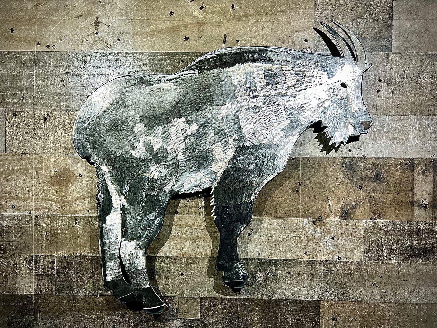 23-inch mountain goat right