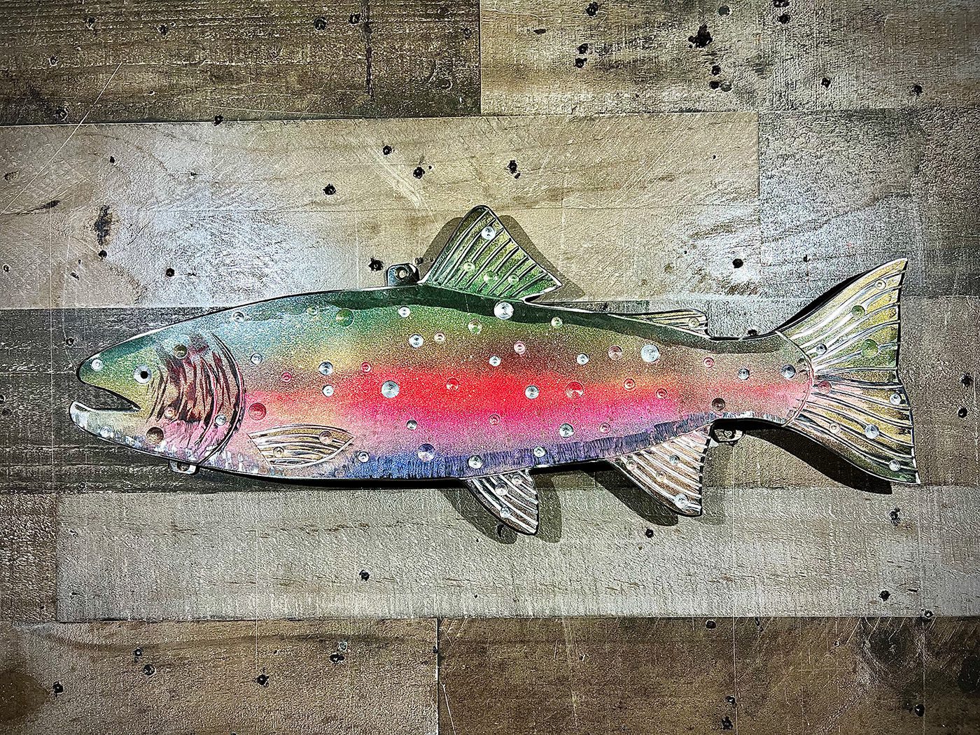 23-inch rainbow trout left 1