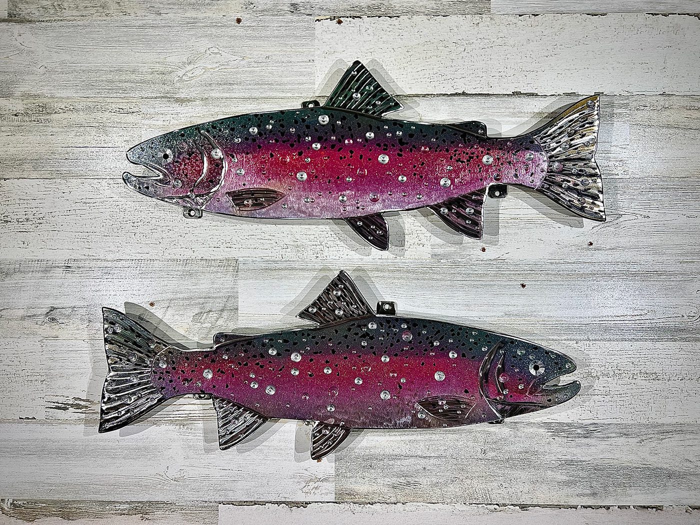 23-inch rainbow trout natural