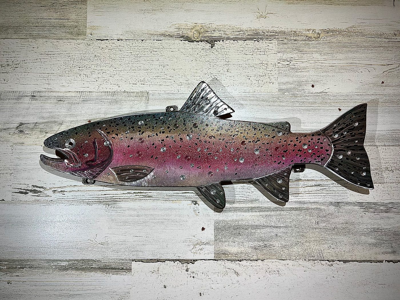 23-inch rainbow trout