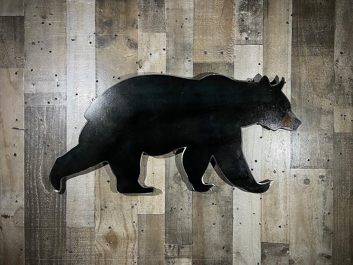 31-inch black bear