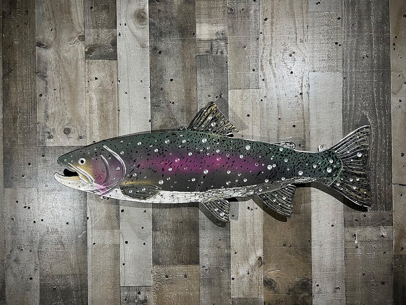 38-inch kamloop rainbow trout