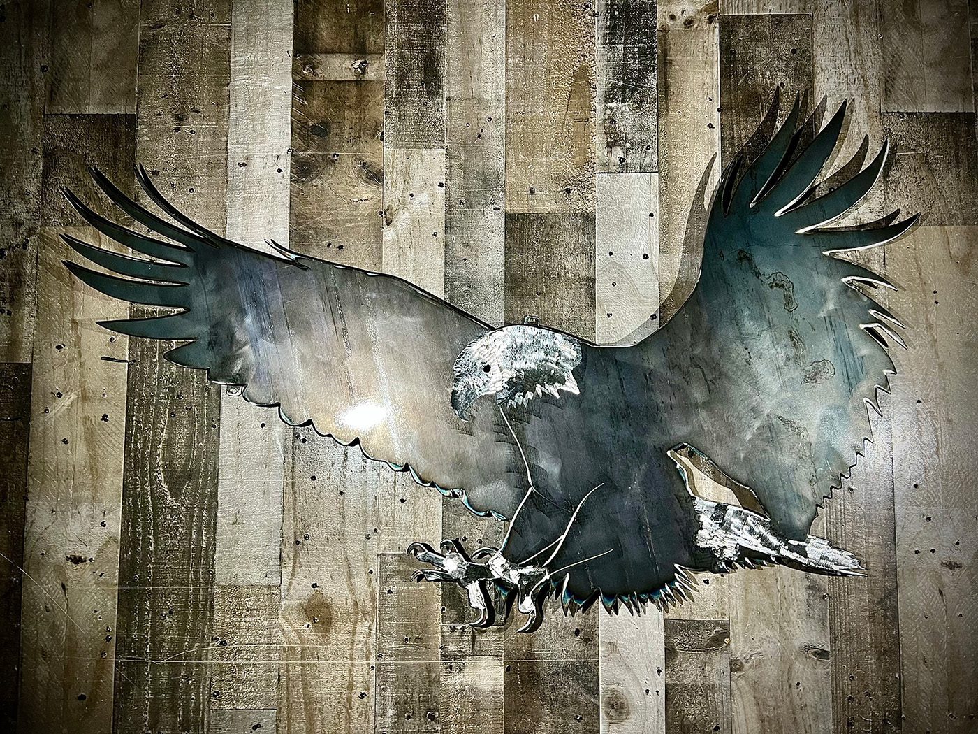 4-foot bald eagle 1