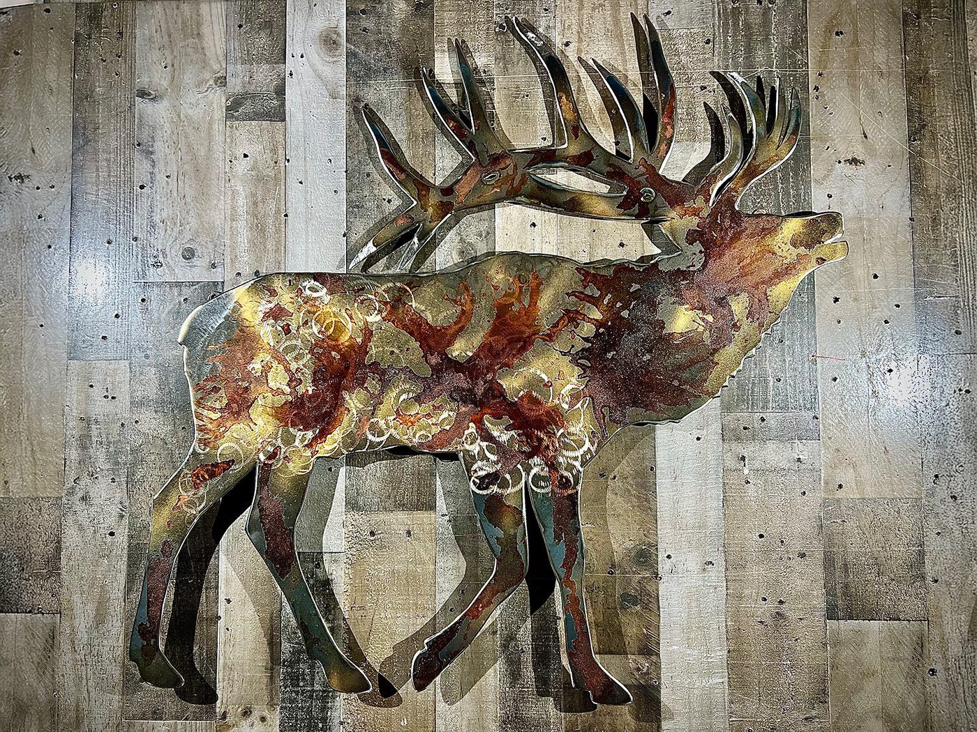 40-inch gold rush elk