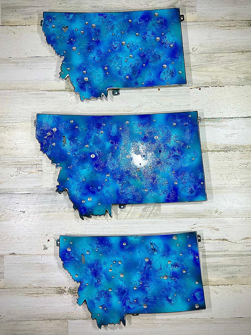 Blue Montana state varieties