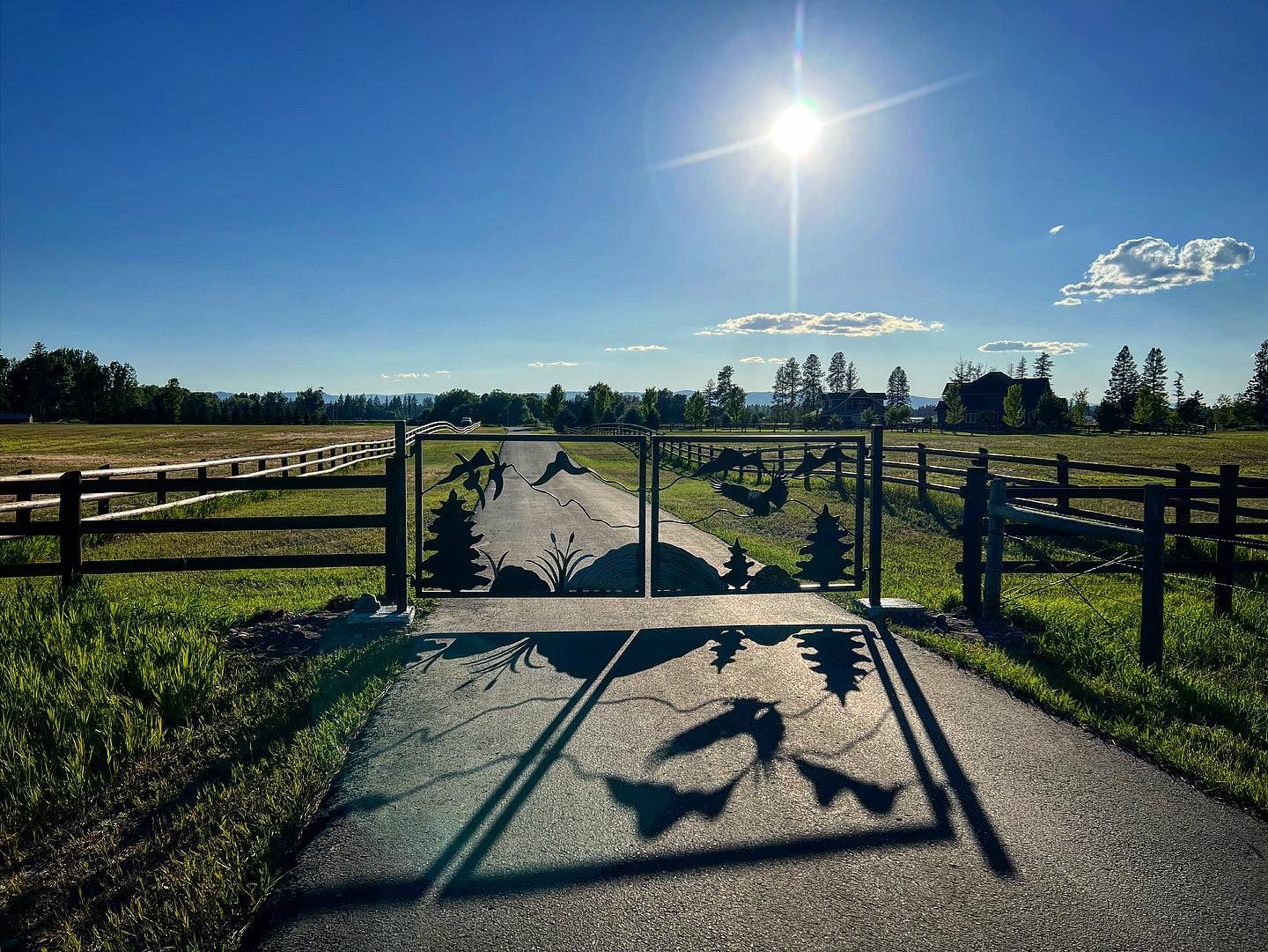 Custon Drive Through Gate 06